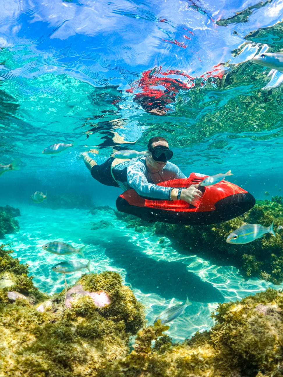 Snorkel + SeaScooter
